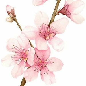 Meet your Posher, Mallory